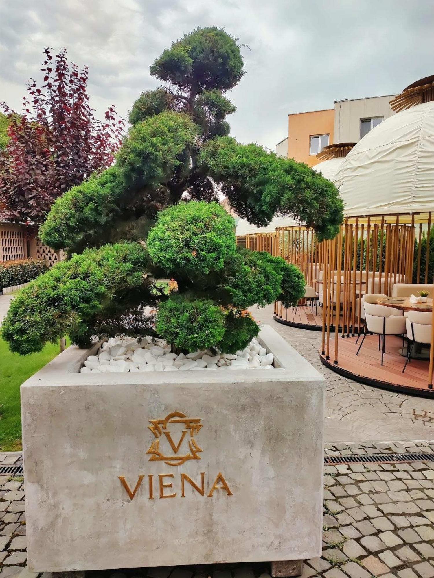 Hotel Viena Satu Mare Bagian luar foto